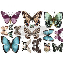Load image into Gallery viewer, Butterfly