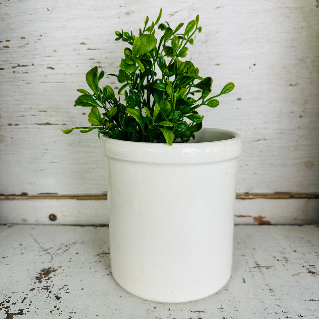 Boxwood Pick