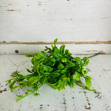 Load image into Gallery viewer, Boxwood Pick
