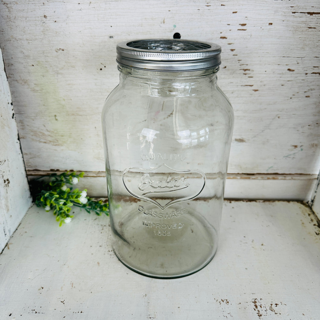 Massive Jar with Flower Frog Lid