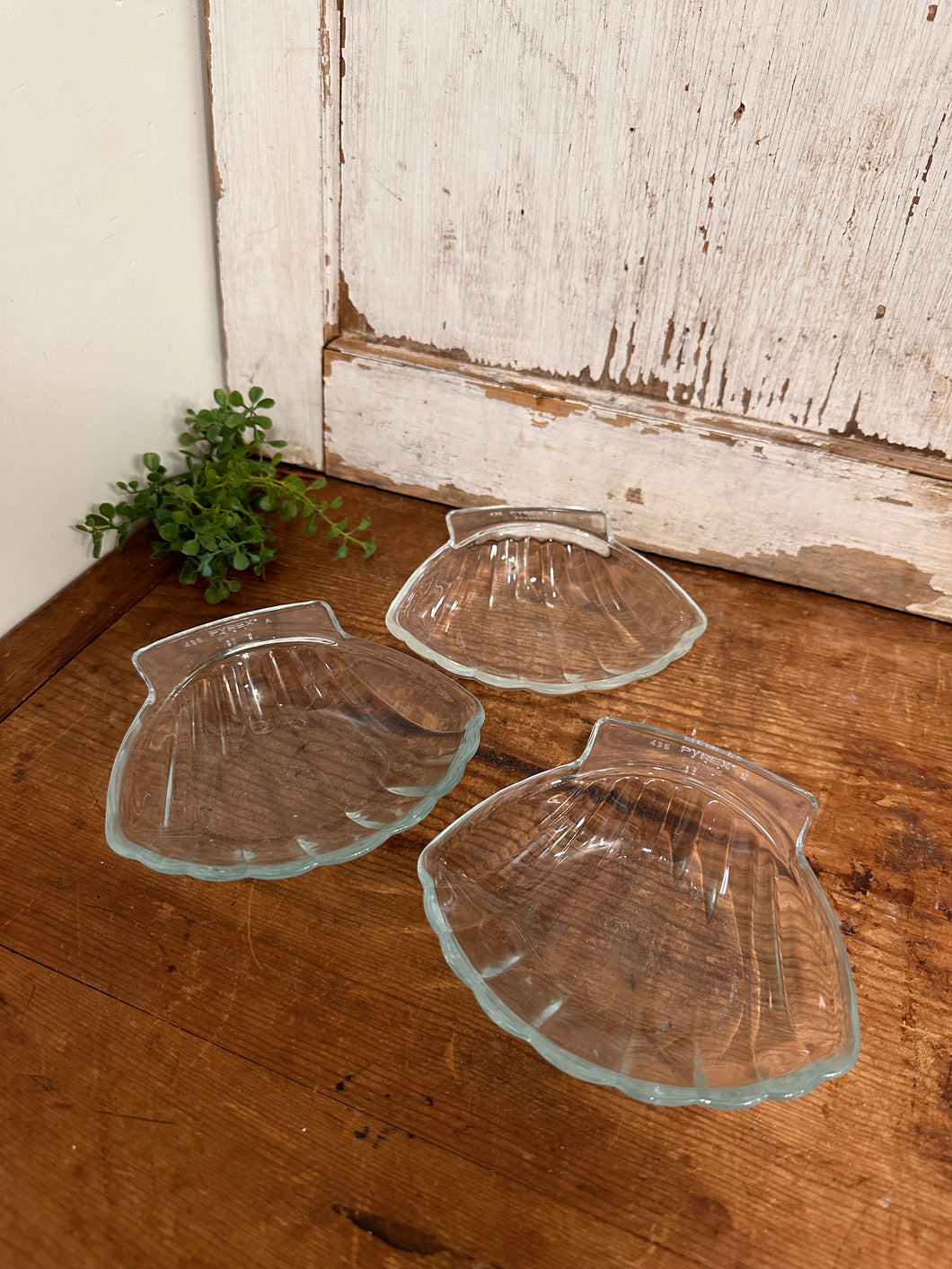 Pyrex Shell Dishes
