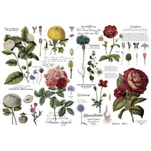 Load image into Gallery viewer, Vintage Botanical

